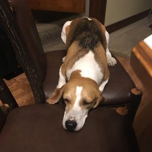 Meet your Posher, Ethan